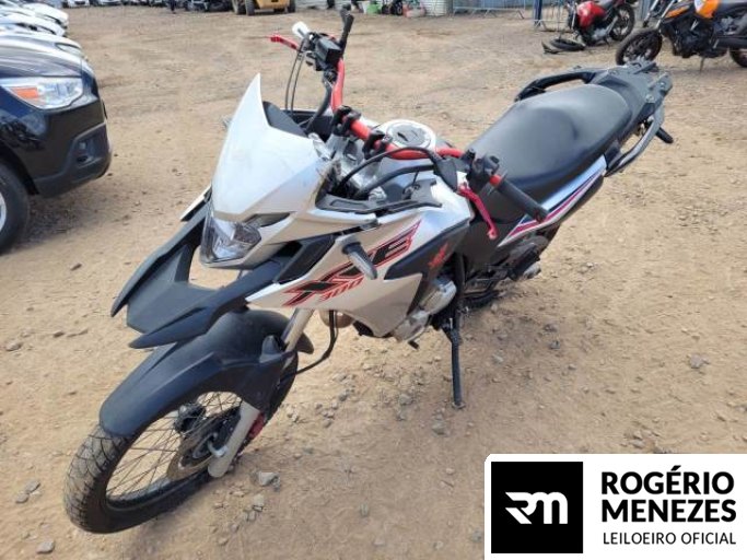 HONDA XRE 300 21/21
